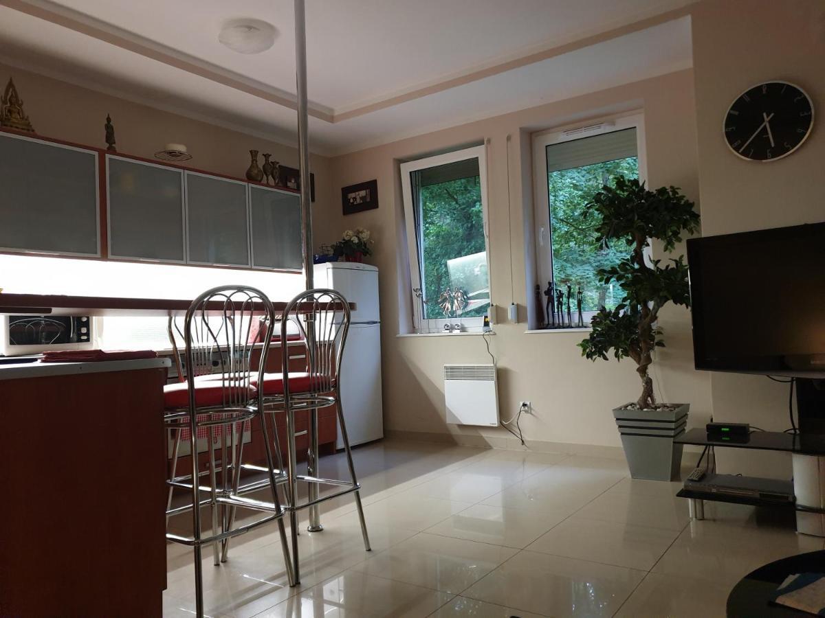 Apartament Maria 米兹多洛杰 外观 照片