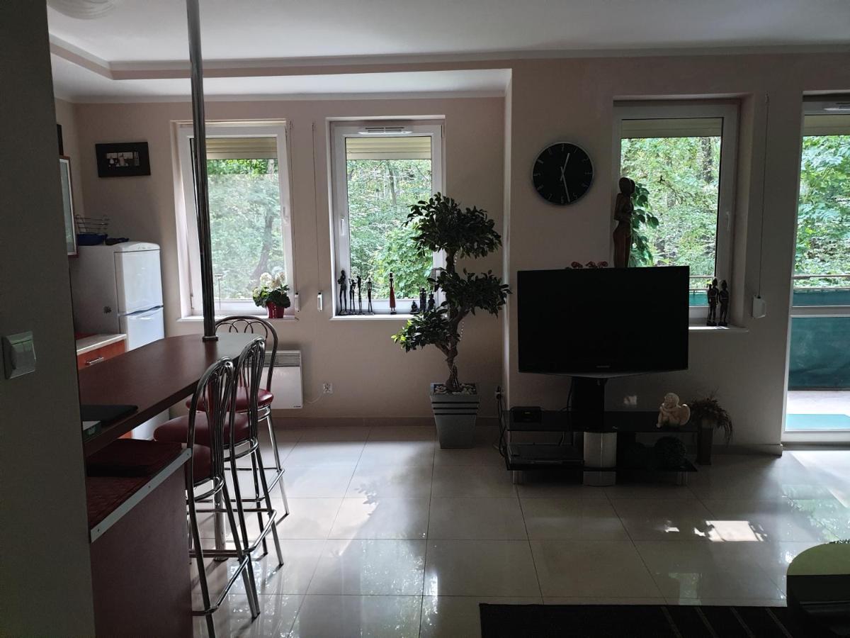 Apartament Maria 米兹多洛杰 外观 照片