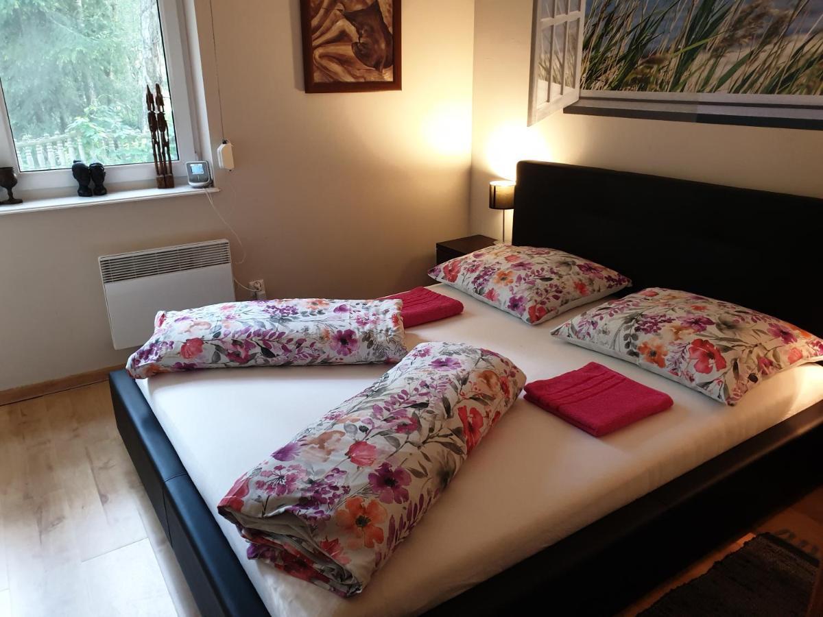 Apartament Maria 米兹多洛杰 外观 照片