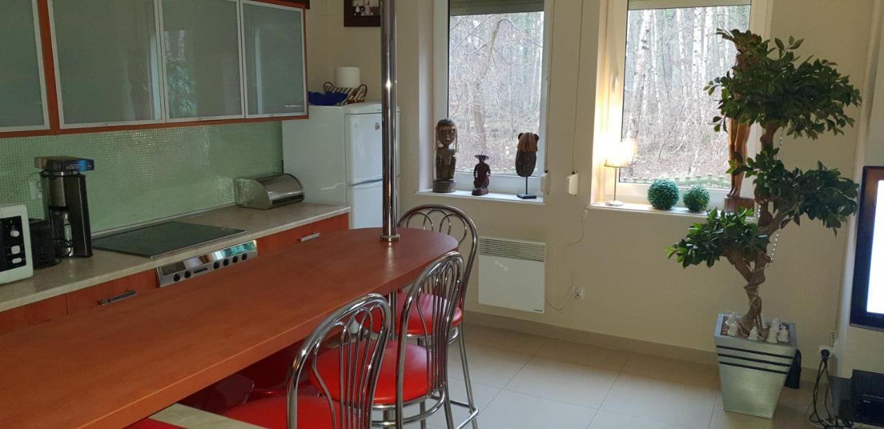 Apartament Maria 米兹多洛杰 外观 照片