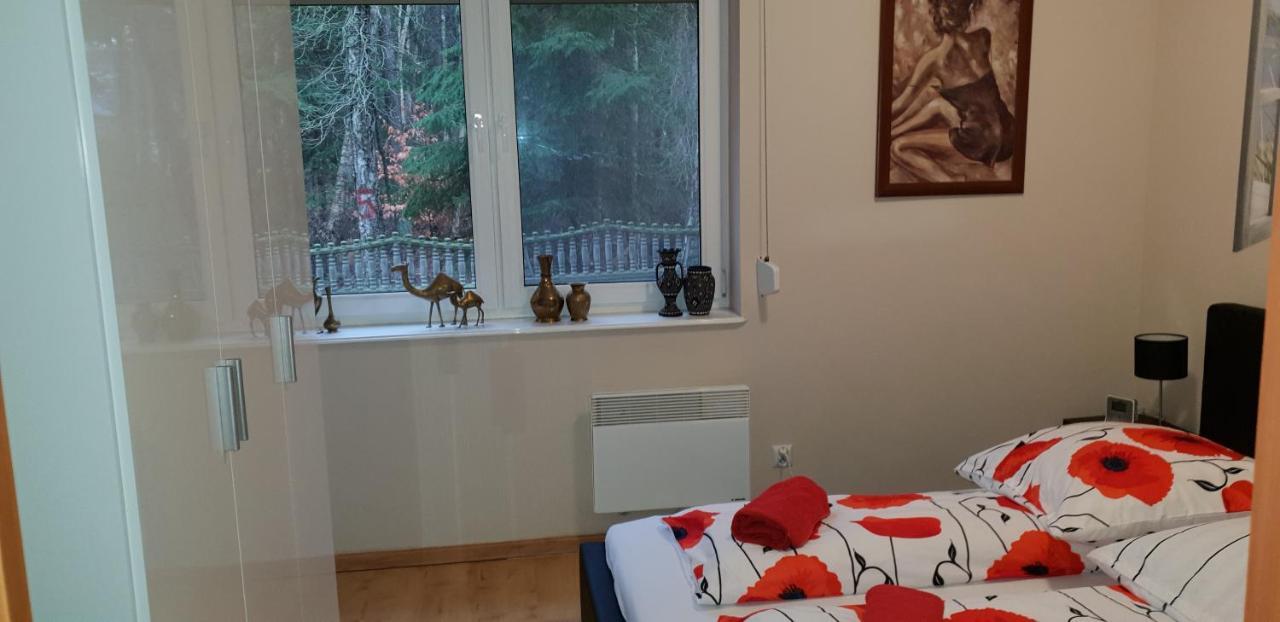 Apartament Maria 米兹多洛杰 外观 照片