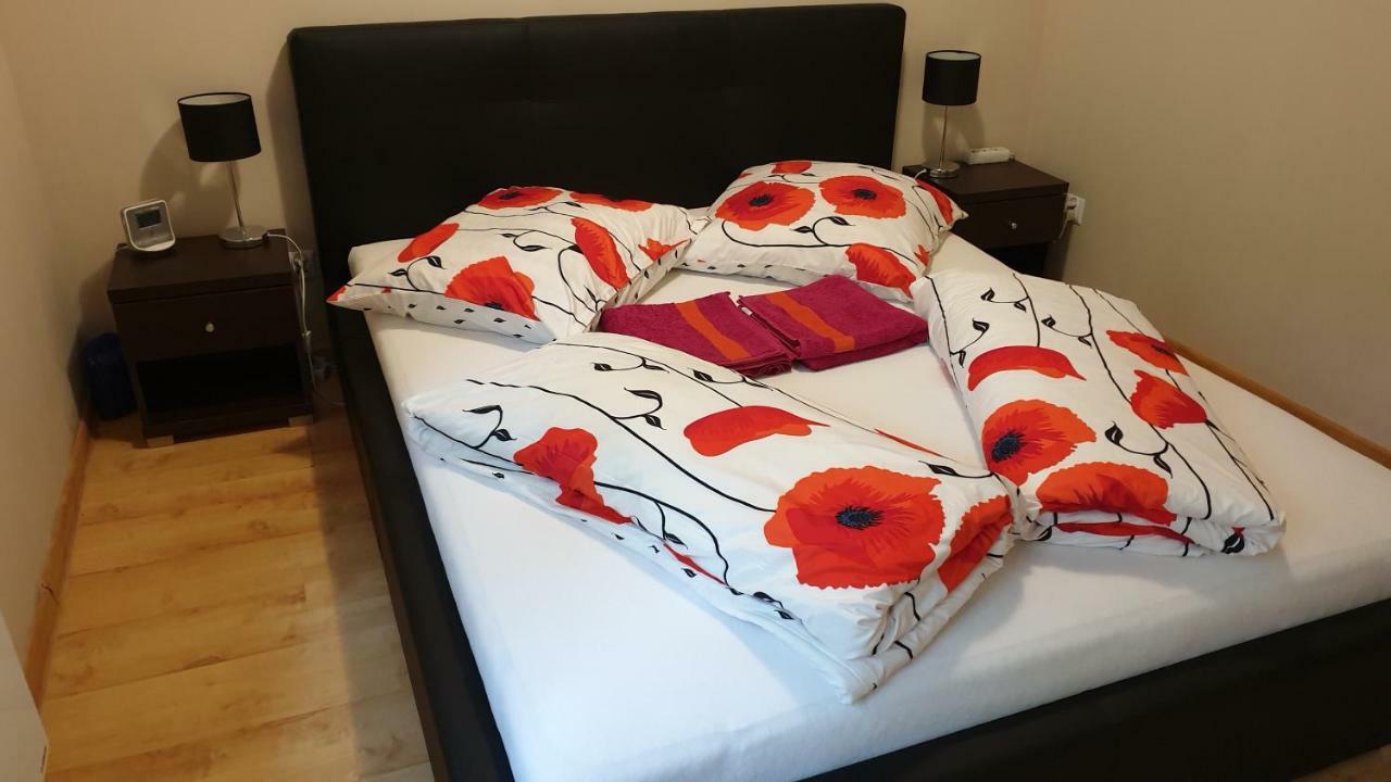 Apartament Maria 米兹多洛杰 外观 照片