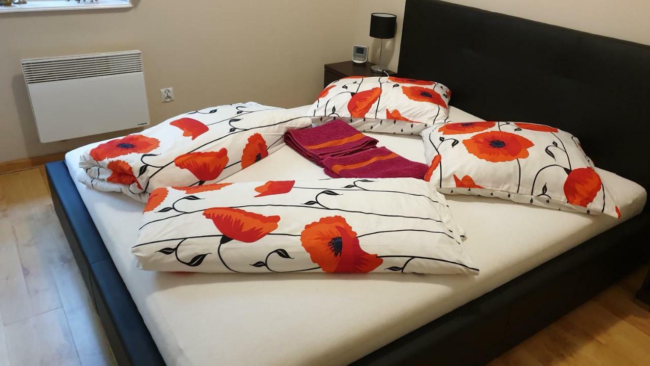 Apartament Maria 米兹多洛杰 外观 照片