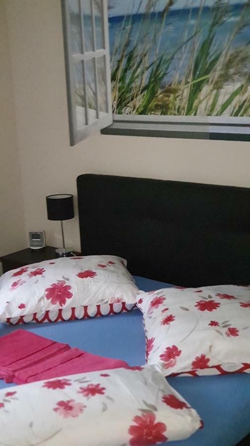 Apartament Maria 米兹多洛杰 外观 照片